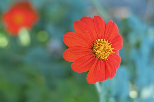 为参赛者和 为参赛者和