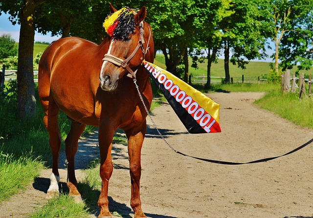 控仍需提升 控仍需提升