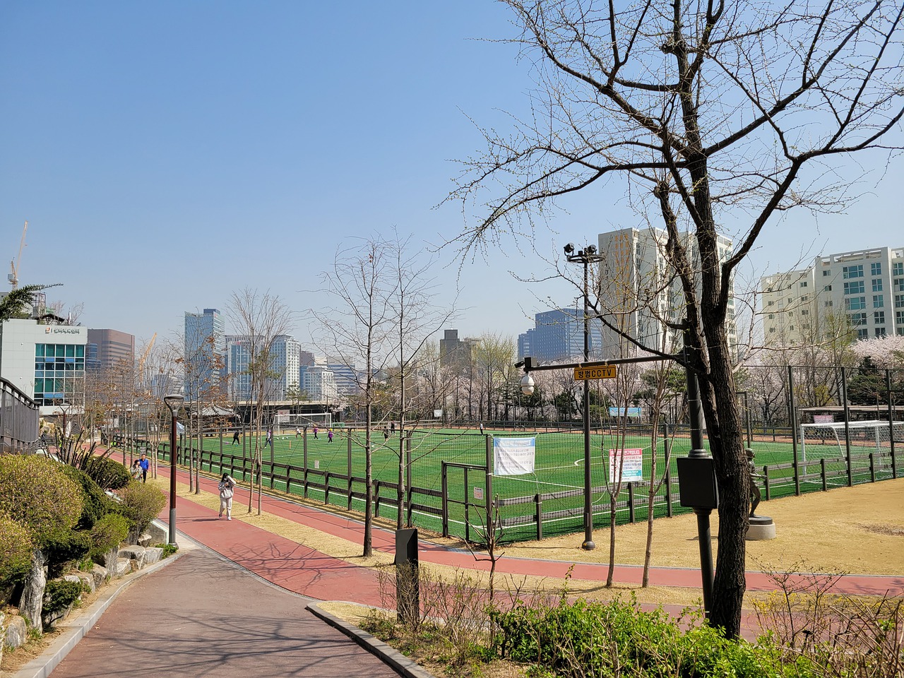 在运动生涯 在运动生涯