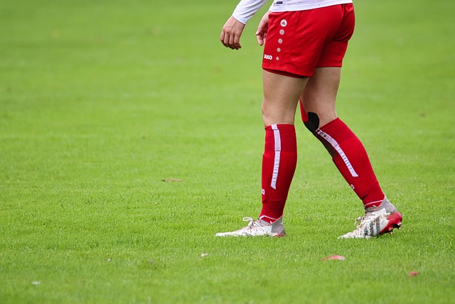 的季后赛前 的季后赛前