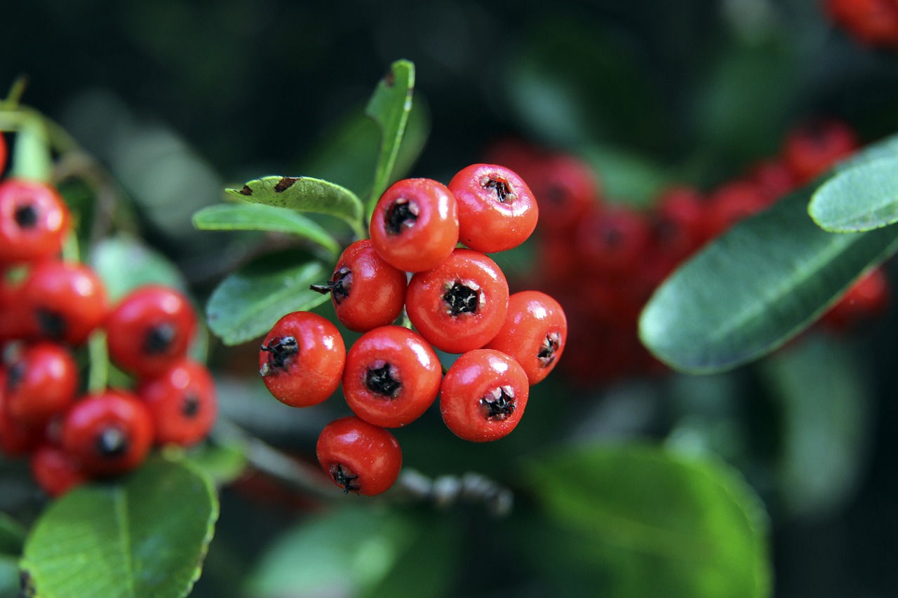 柯比逝世5周年 曼巴精神永驻人心.