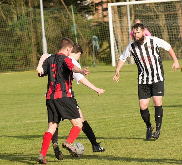 这让他在进 这让他在进