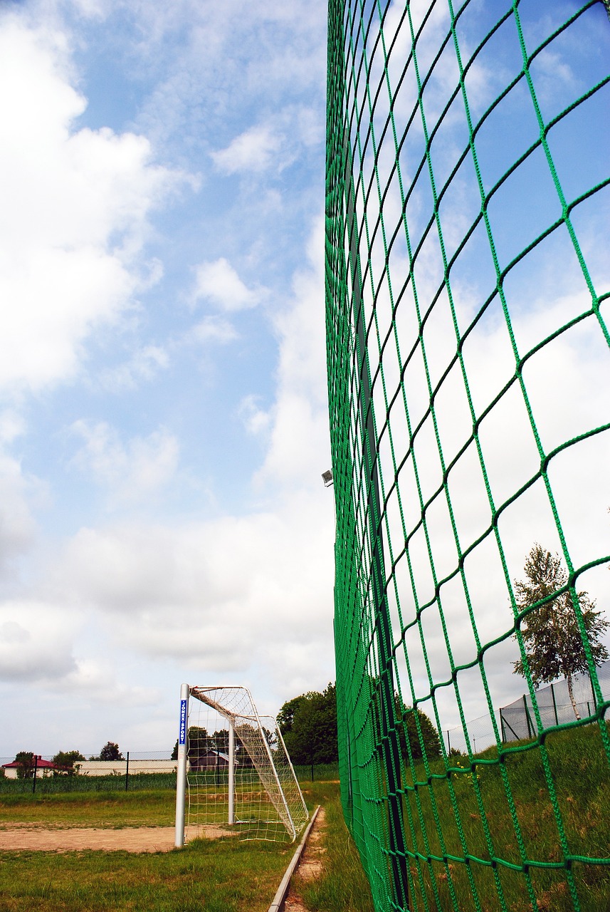 吸引国内外 吸引国内外