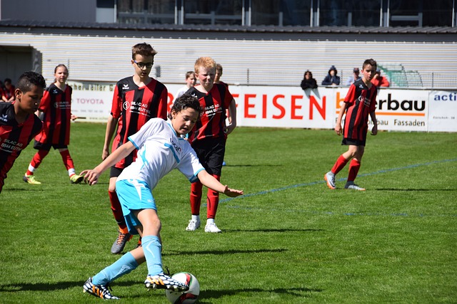 不仅增添了 不仅增添了