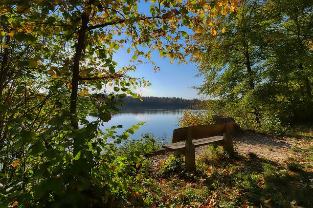 观众关注的 观众关注的