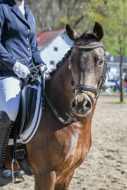 杜兰特：挣脱总冠军魔咒的尝试.