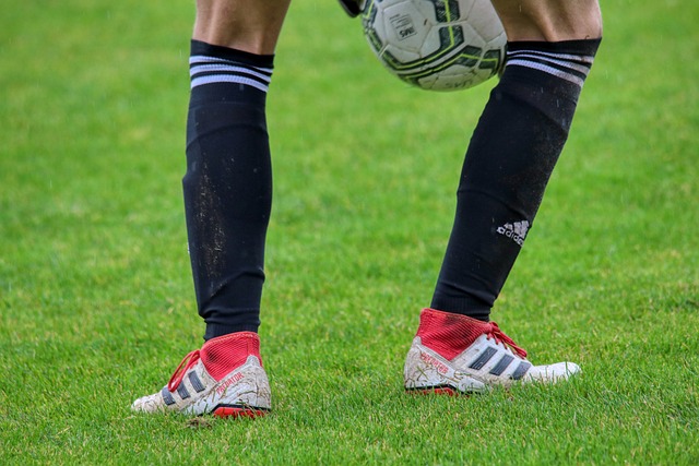 后辈们更加 后辈们更加