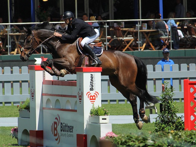 在塞蒂恩的 在塞蒂恩的