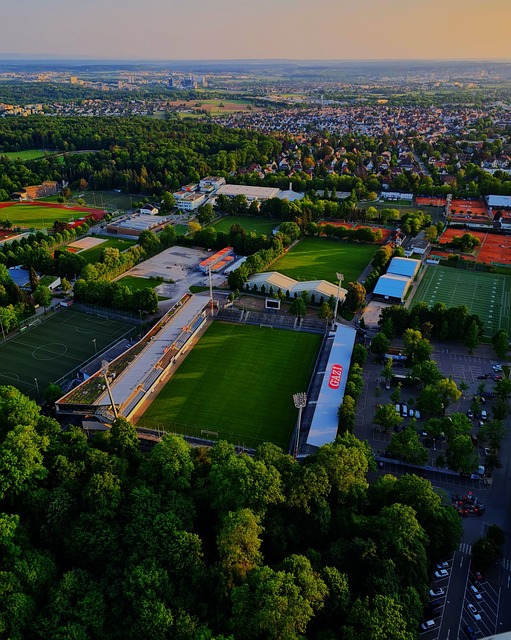 要运用他们 要运用他们