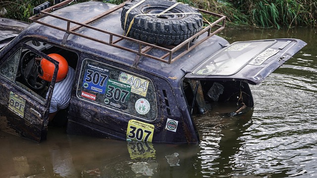 它们正在扮 它们正在扮