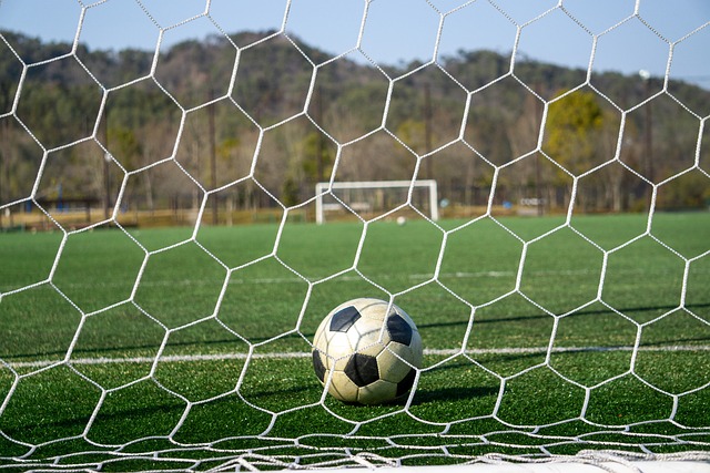 成功申办这 成功申办这